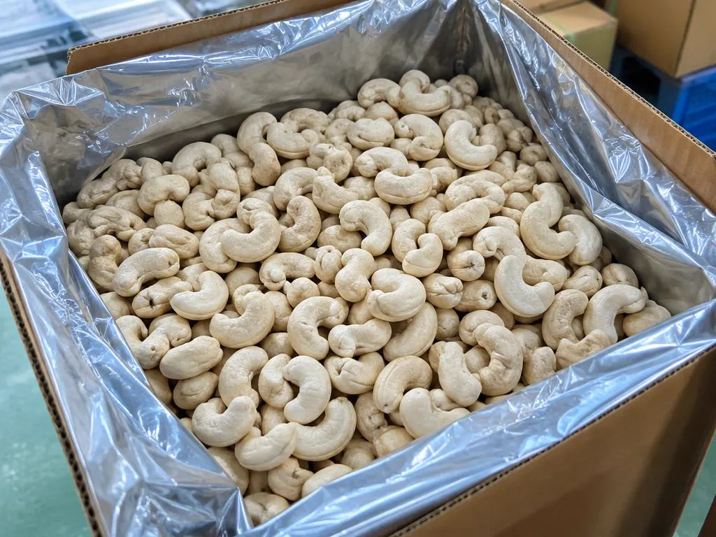 Raw cashew kernels for wholesale buyers