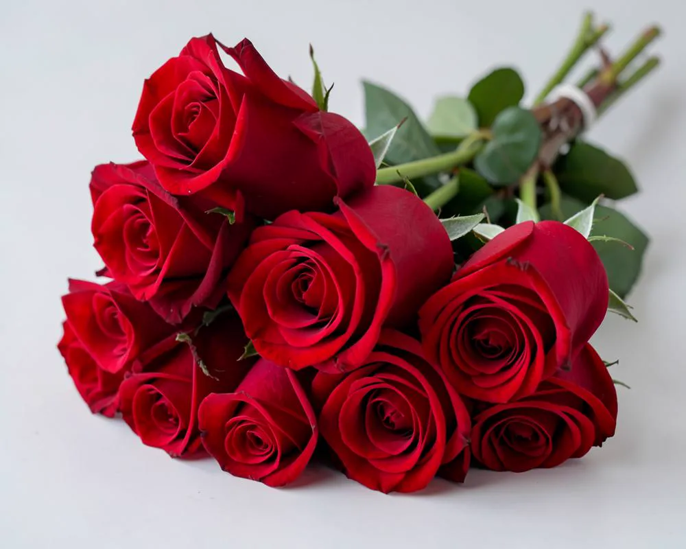 Fresh Flowers — wholesale fresh produce exporters in Kenya